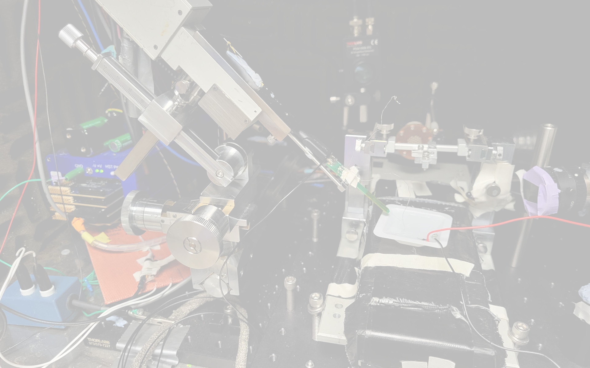 Electrode header image Electrode header image